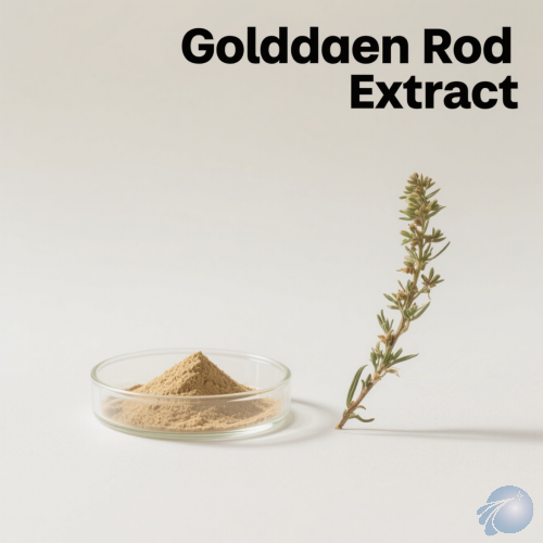Golden Rod Extract