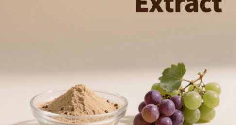 Grape Seed Extract