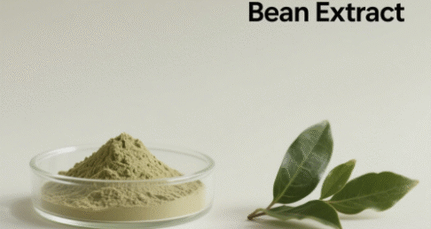 Green Coffee Bean Extract