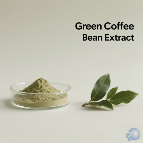 Green Coffee Bean Extract