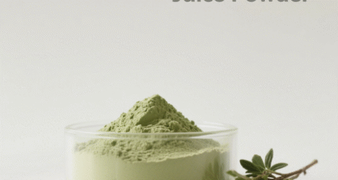 Green Plum Juice Powder
