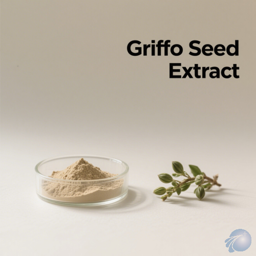 Griffonia Seed Extract