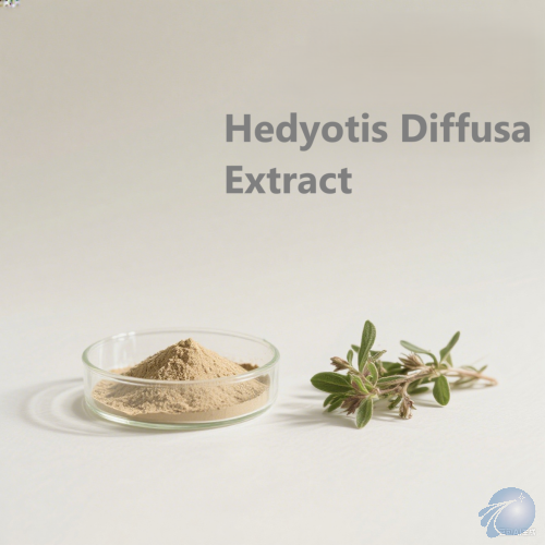 Hedyotis Diffusa Extract