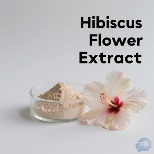 Hibiscus Flower Extract