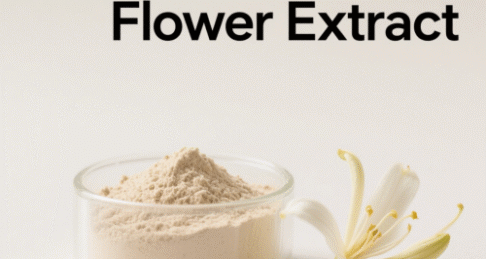Honey Suckle Flower Extract