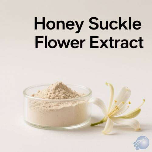 Honey Suckle Flower Extract