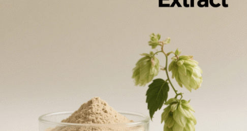 Hops Flower Extract