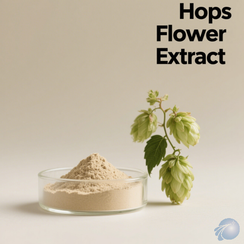 Hops Flower Extract