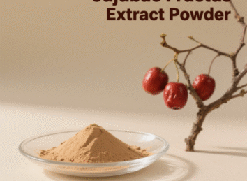 Jujubae Fructus Extract Powder