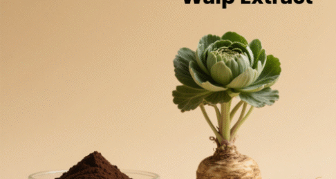 Lepidium Meyenii Walp Extract