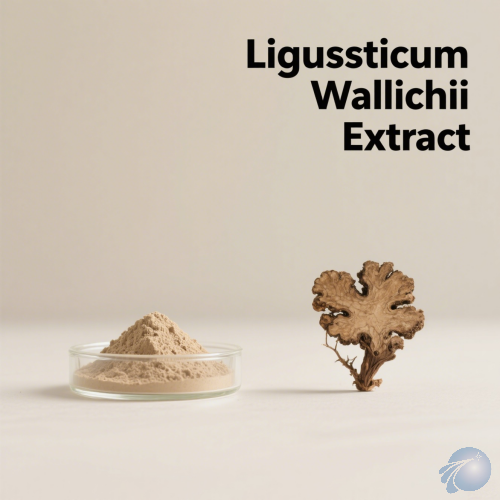 Ligusticum Wallichii Extract