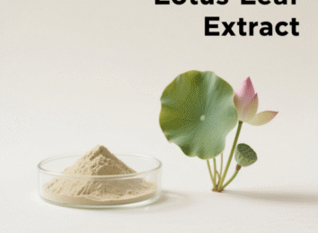Lotus Leaf Extract