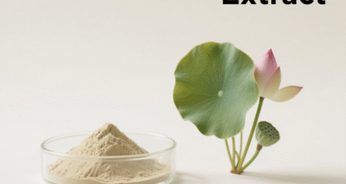 Lotus Leaf Extract