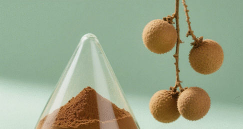 Luohanguo Extract Powder