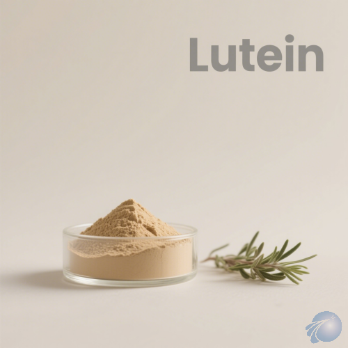 Marigold Extract / Lutein