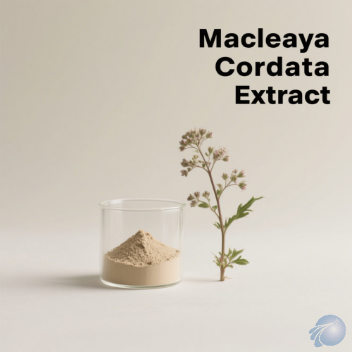 Macleaya Cordata Extract
