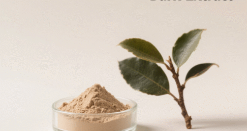 Magnolia Bark Extract