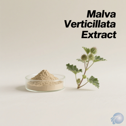 Malva Verticillata Extract
