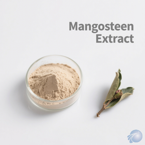 Mangosteen Extract