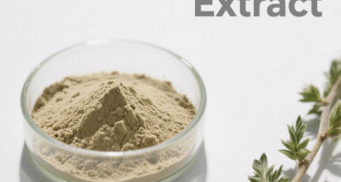 Medicago Extract