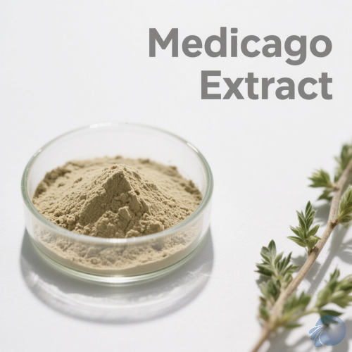Medicago Extract