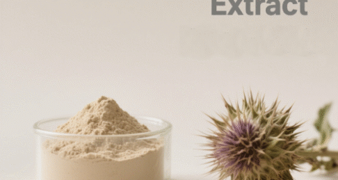Milk Thistle Extract