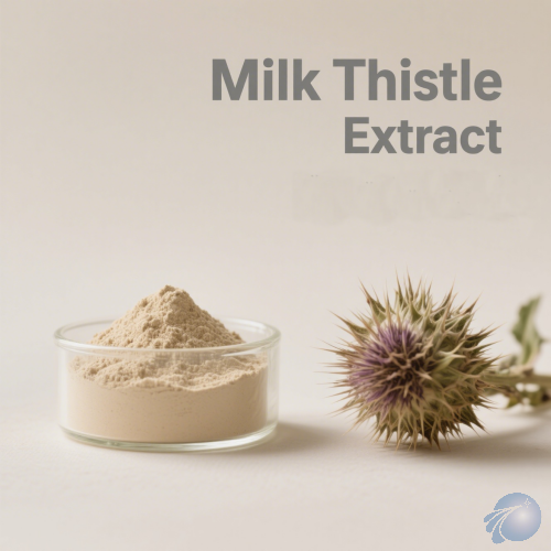 Milk Thistle Extract