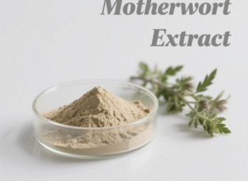 Motherwort Extract