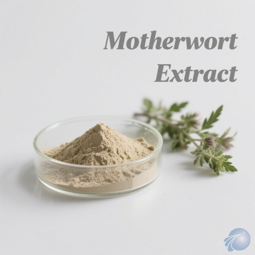 Motherwort Extract