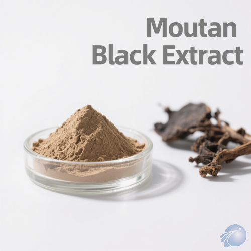 Moutan Black Extract