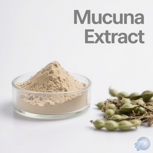 Mucuna Extract