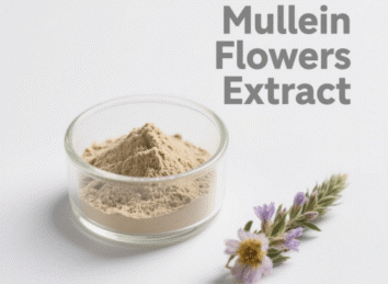 Mullein Flowers Extract