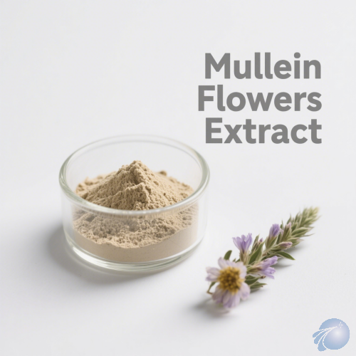 Mullein Flowers Extract