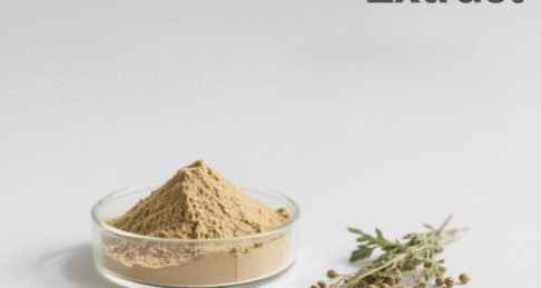 Mustard Seed Extract