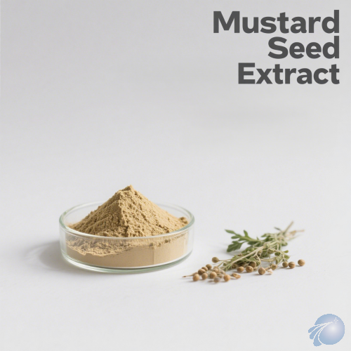 Mustard Seed Extract