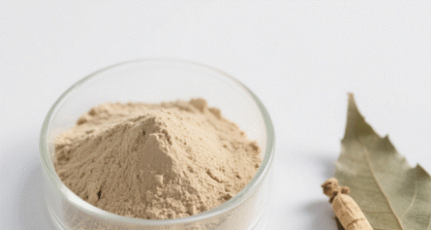 Notoginseng Leaf Extract