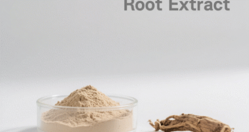Notoginseng Root Extract