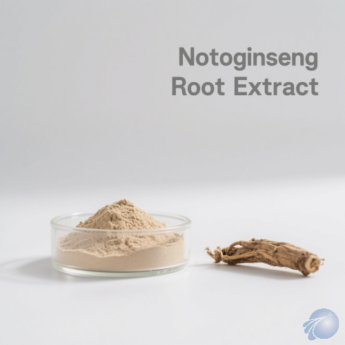 Notoginseng Root Extract