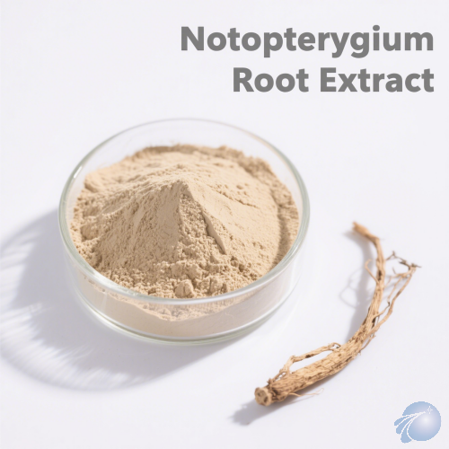 Notopterygium Root Extract