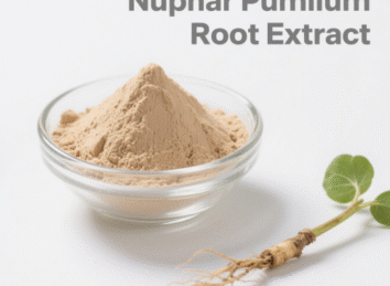 Nuphar Pumilum Root Extract