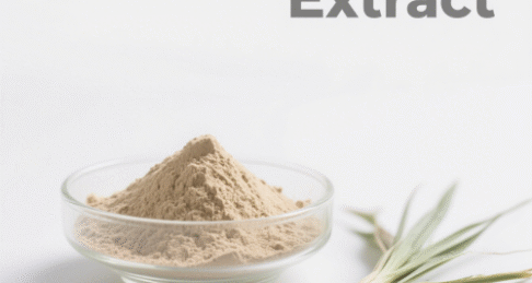 Nutgrass Extract