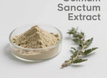 Ocimum Sanctum Extract