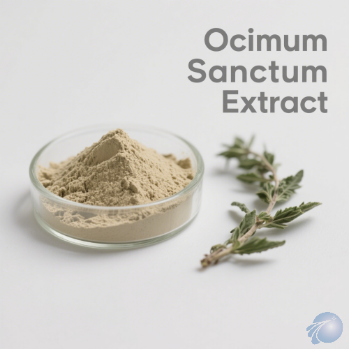 Ocimum Sanctum Extract