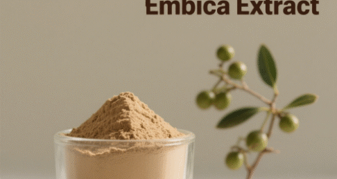 Phyllanthus Emblica Extract