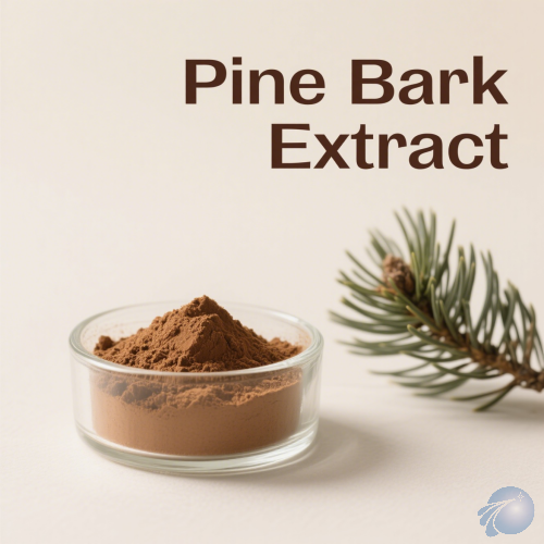 Pine Bark Extract