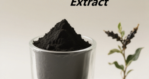 Piper Nigrum Extract