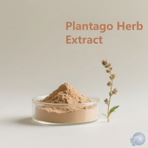 Plantago Herb Extract