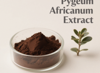 Pygeum Africanum Extract