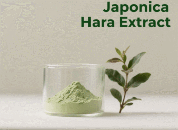 Rabdosia Japonica Hara Extract