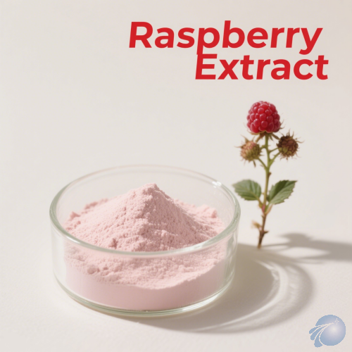 Raspberry Extract